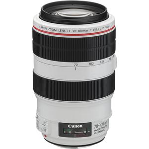Canon EF 70-300mm f/4-5.6 L IS USM Zoom Lens