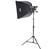 Interfit INT185 Stellar X 500 Watt Tungsten Photo Flood Single Head Kit