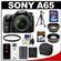 Sony Alpha SLT-A65 Translucent Mirror Technology Digital SLR Camera Body & 18-55mm Lens with Sony Case + 32GB Card + Battery + Filter + Tripod + Telephoto & Wide-Angle Lens Kit