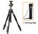 Vanguard Alta Pro 264AT Aluminum Alloy Tripod with SBH-100 Ball Head and Case